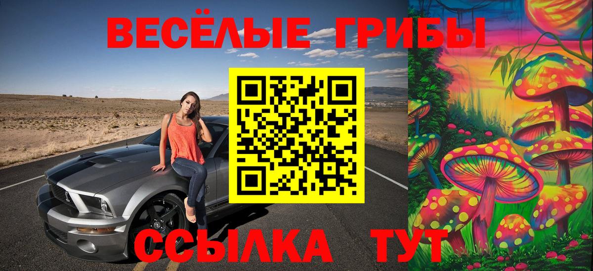 Владимир  Галлюциногенные грибы Psilocybine cubensis  Вход с VPN 